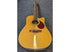 Samick Greg Bennett D9 12CE 12 String Electro Acoustic Guitar Pre-Owned