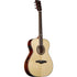 Eko Tri A 300E Electro Acoustic Guitar