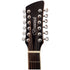 Brunswick 12 String Electro Acoustic Guitar Grand Auditorium in Natural