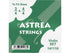 Astrea VIolin Full Set - 4/4-3/4 Size