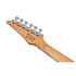 Ibanez RG Gio Series GRG220PA1-BKB Electric Guitar in Transparent Black Sunburst
