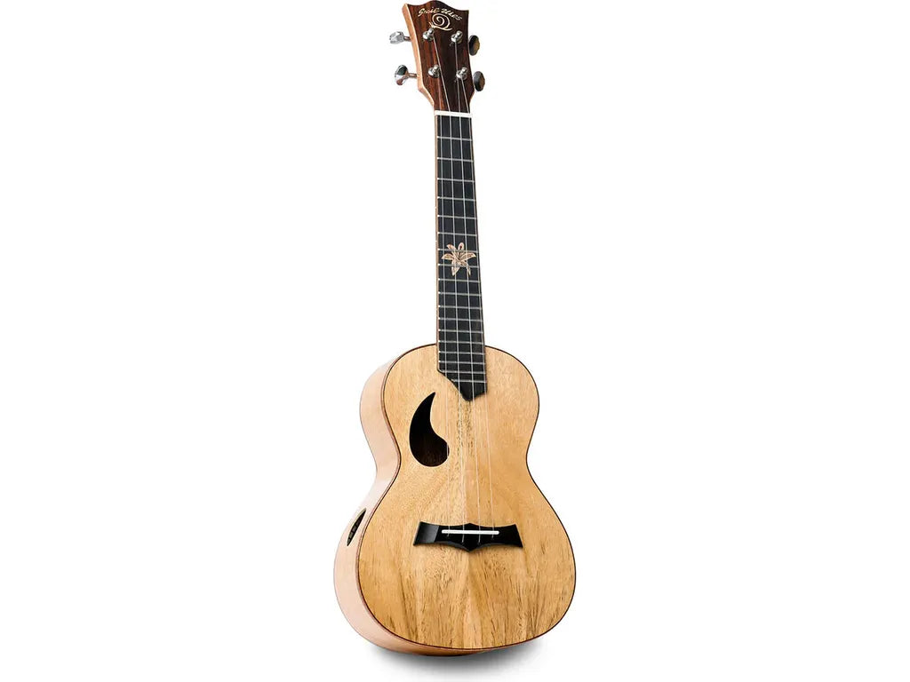 Snail Ukulele Mango Concert BH-2C