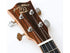 Snail Ukulele Mango Concert BH-2C