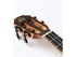 Snail Tenor Ukulele Solid Spruce Top BHC-5T