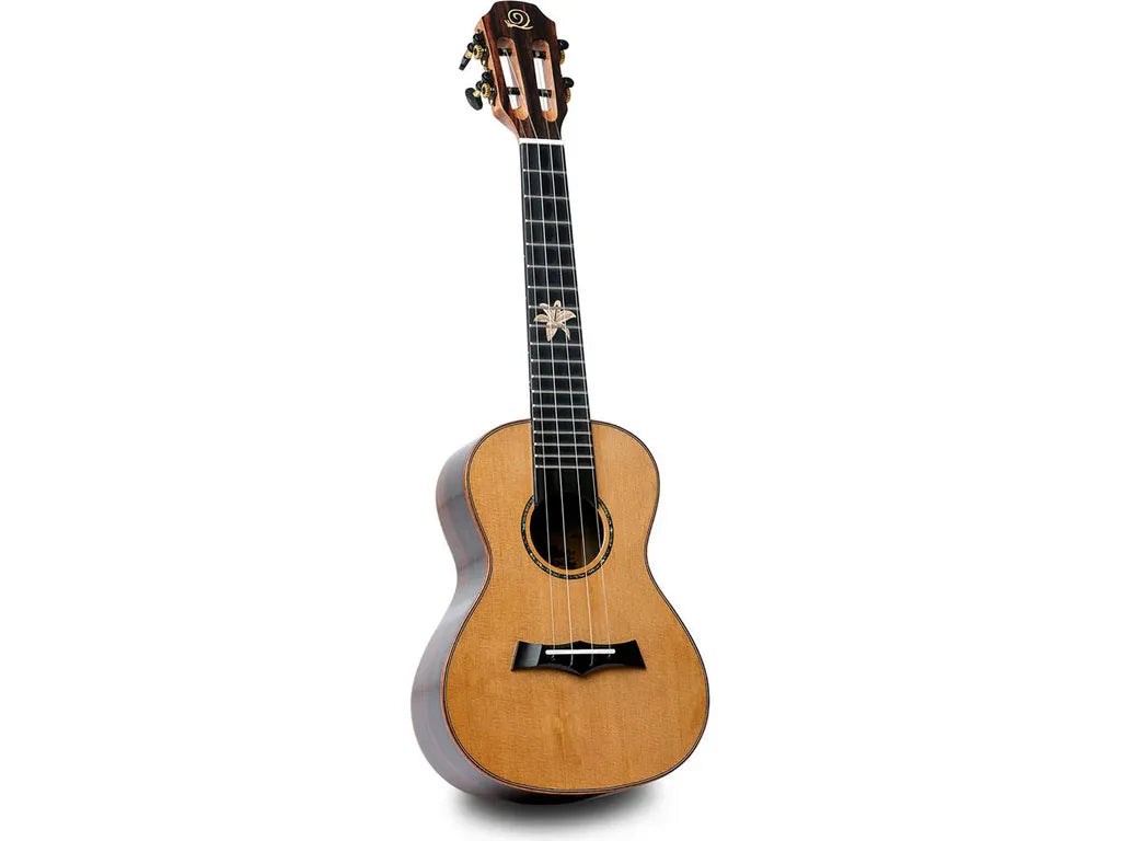 Snail Ukulele Solid Cedar Top Concert BHC-6C