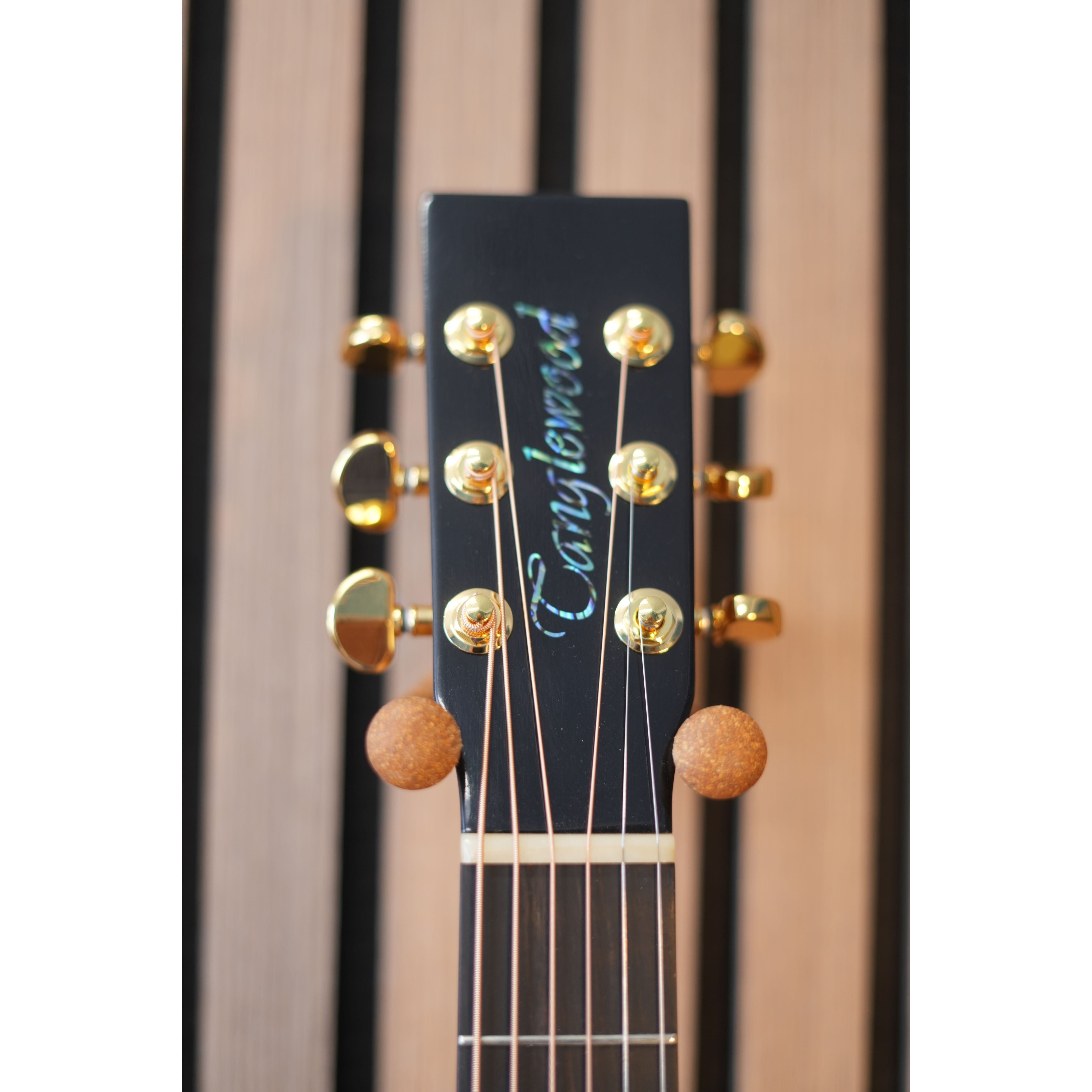 Tanglewood TGB5SE Great Britain 'Dreadnought' Electro Acoustic Guitar