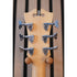 D'Angelico Premier Brighton Double Cut LP-Style Electric Guitar in Hunter Green with Gigbag Pre-Owned