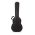 Deluxe Arch Top Wood Case Mini Acoustic Guitars