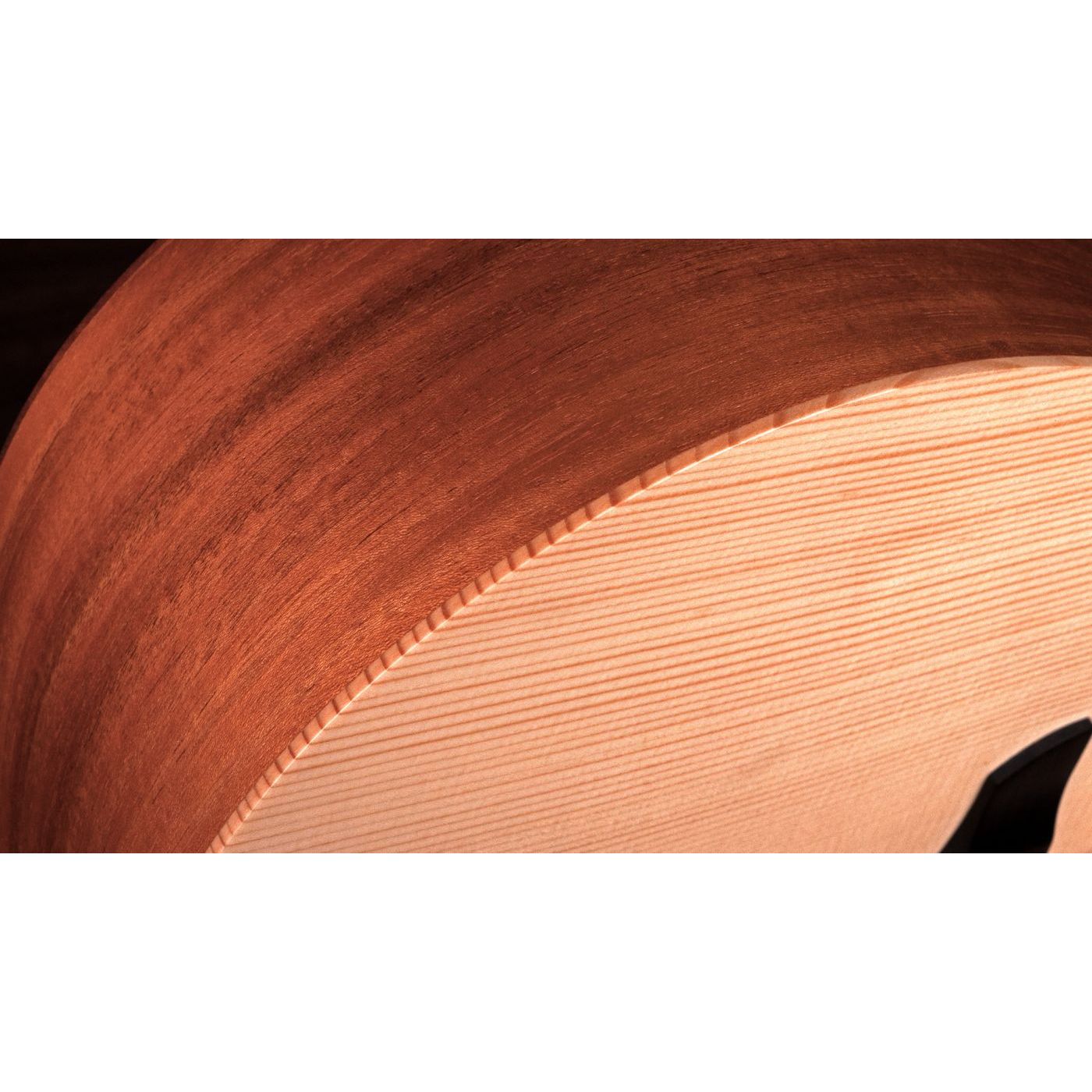 Faith Naked Venus Electro Acoustic Guitar inc Gigbag