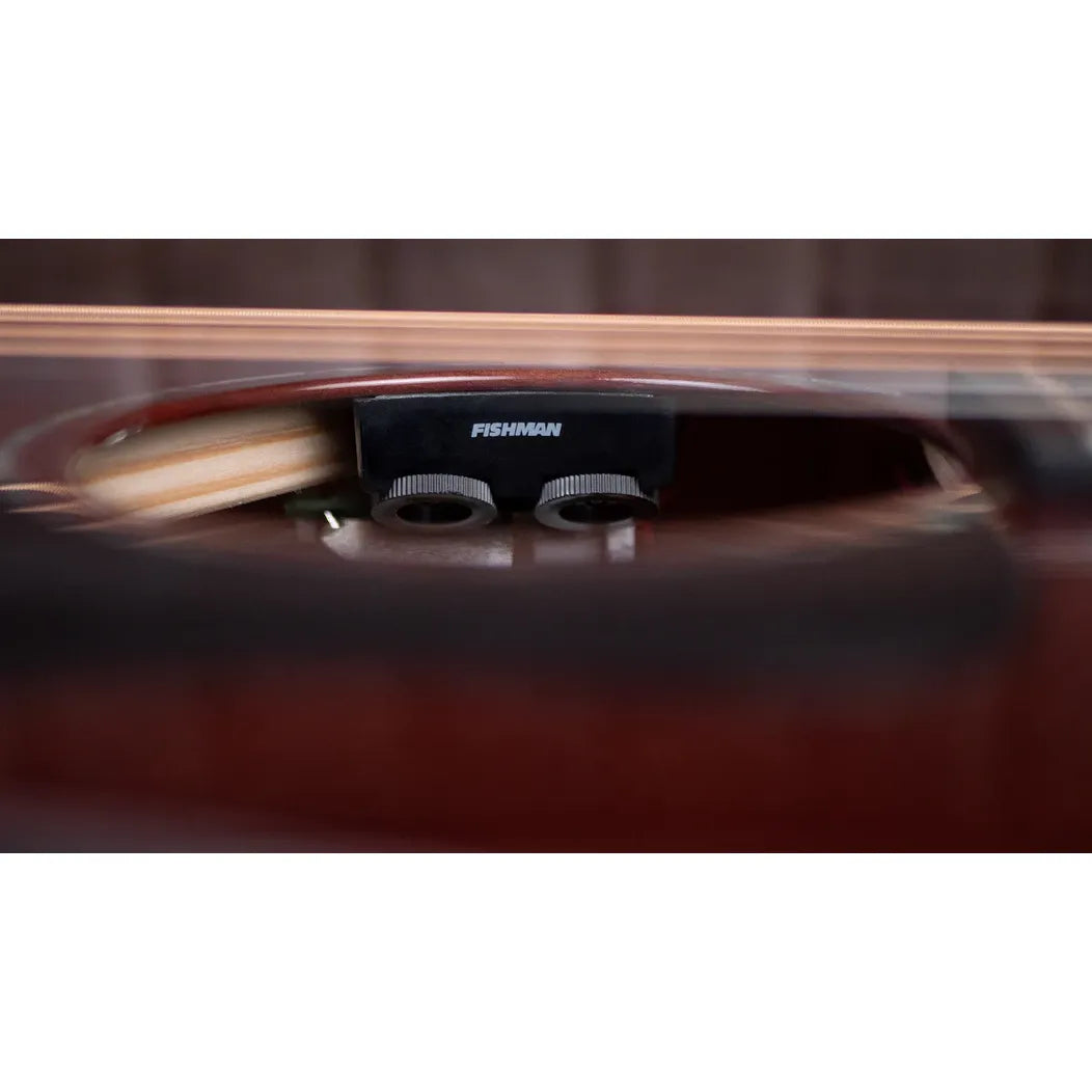 Faith Nexus Venus Cutaway Electro Thru-Cognac Acoustic Guitar