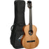 LAG BlueWave 2 Classical Electro Guitar