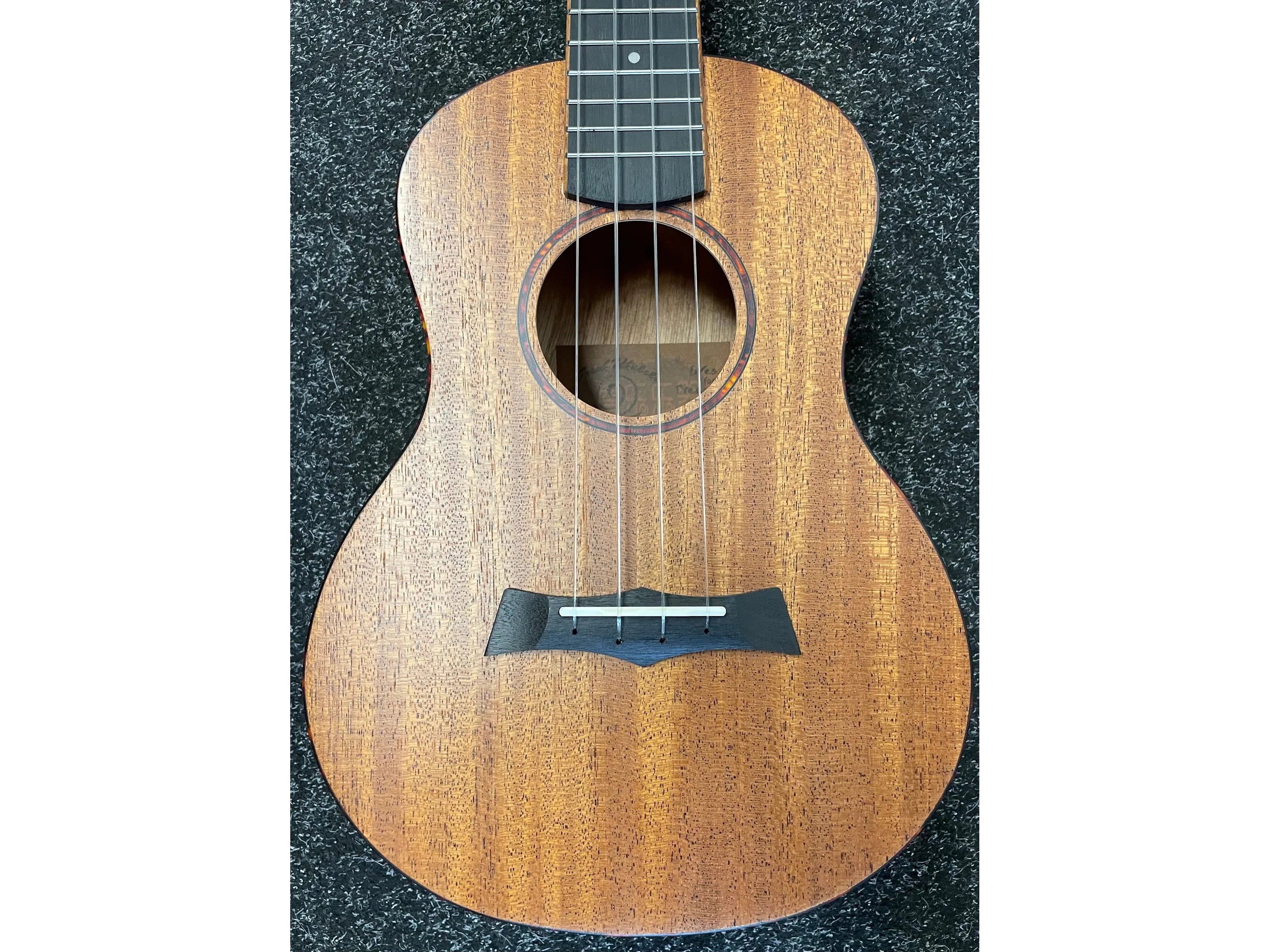 Snail Tenor Ukulele Mahogany UKT-518E