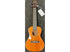 Snail Ukulele Concert Mahogany Gloss Finish SUC-M1