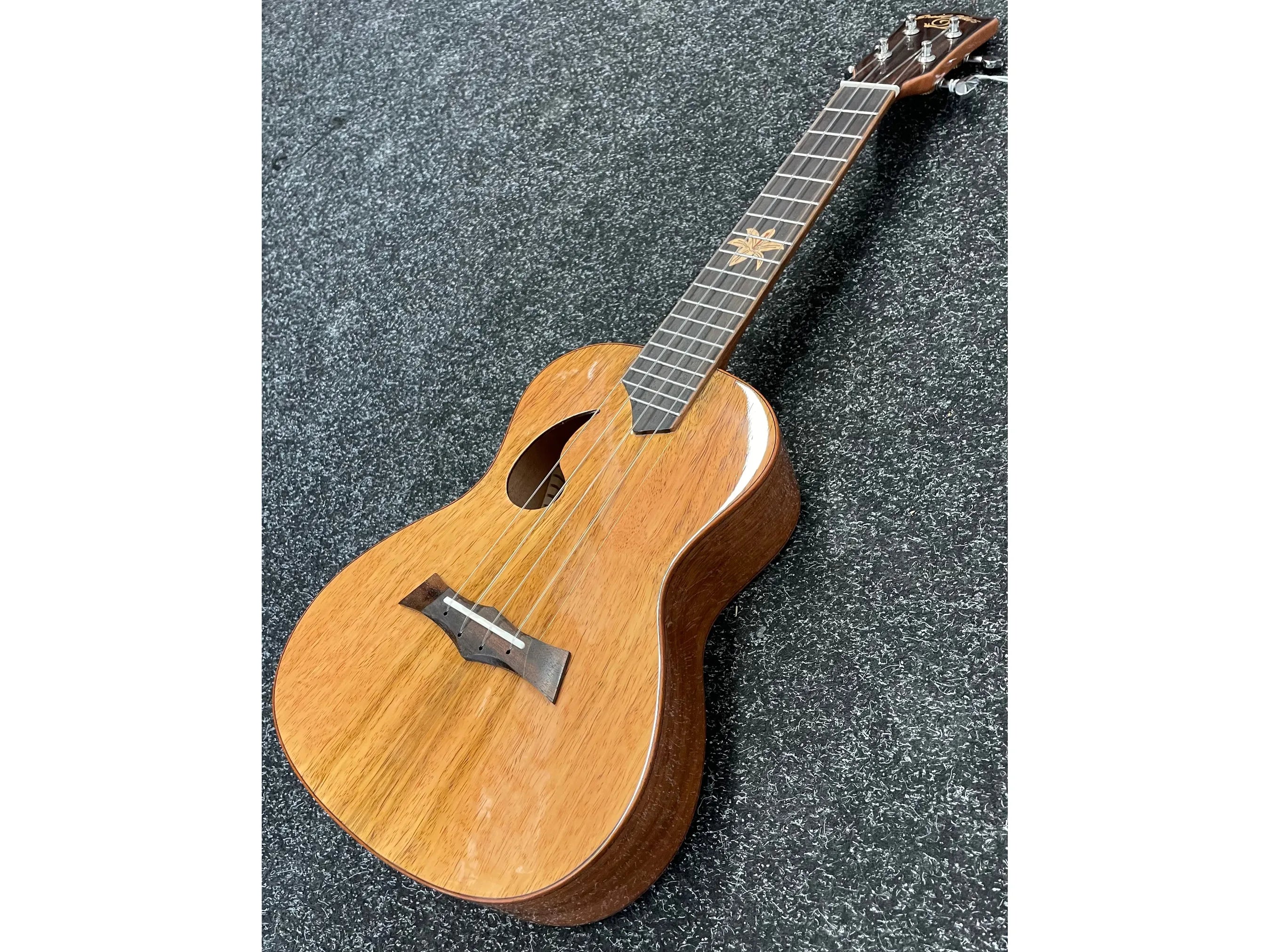 Snail Ukulele Mango Concert BH-2C