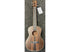 Snail Tenor Ukulele Ebony UKT-E598