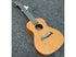 Snail Concert Ukulele Mahogany C03