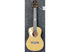 Snail Tenor Ukulele Solid Spruce Top BHC-5T