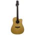 Turner Dreadnought 40CE Electro Acoustic Guitar