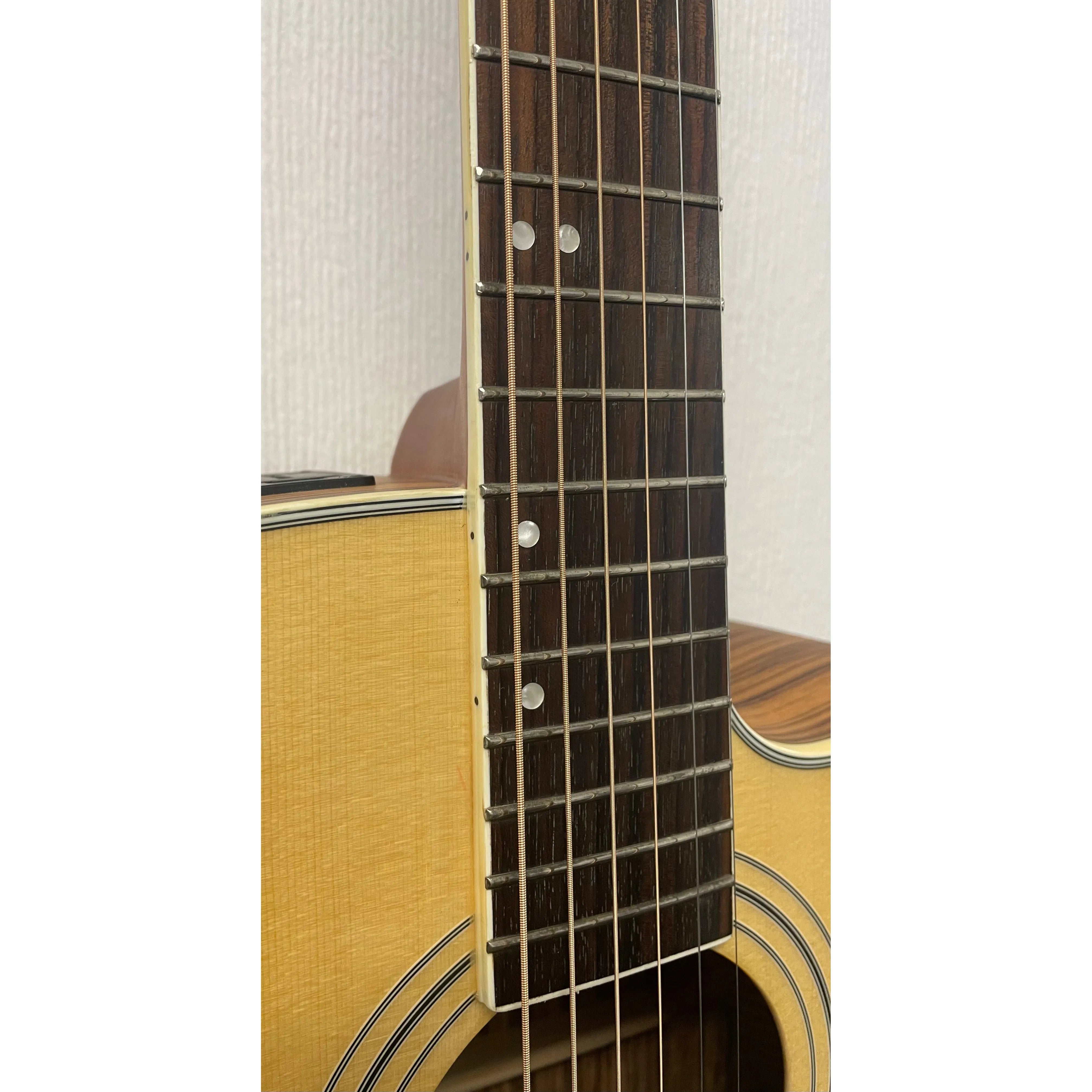 Turner Dreadnought 40CE Electro Acoustic Guitar