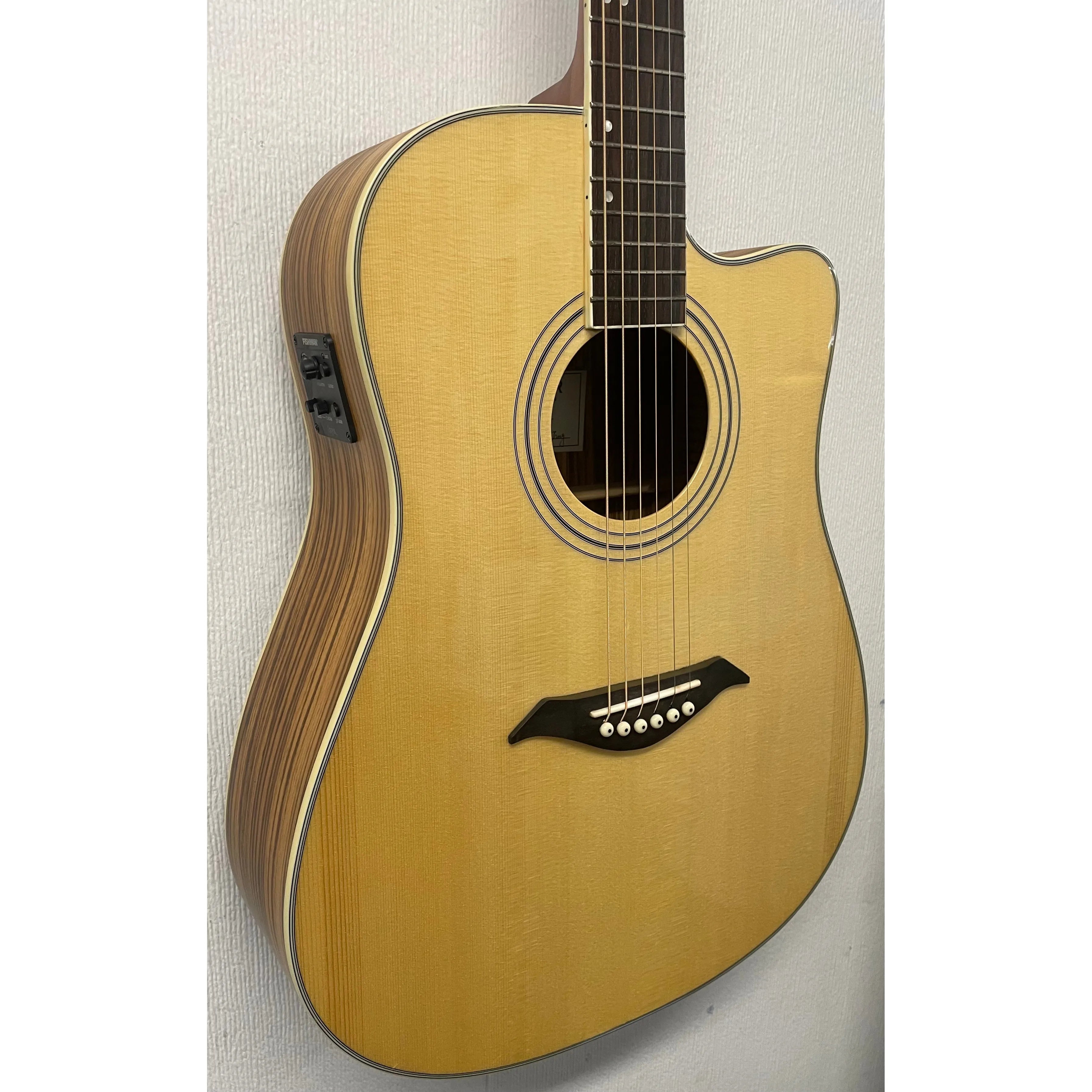 Turner Dreadnought 40CE Electro Acoustic Guitar