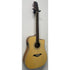 Turner Dreadnought 40CE Electro Acoustic Guitar