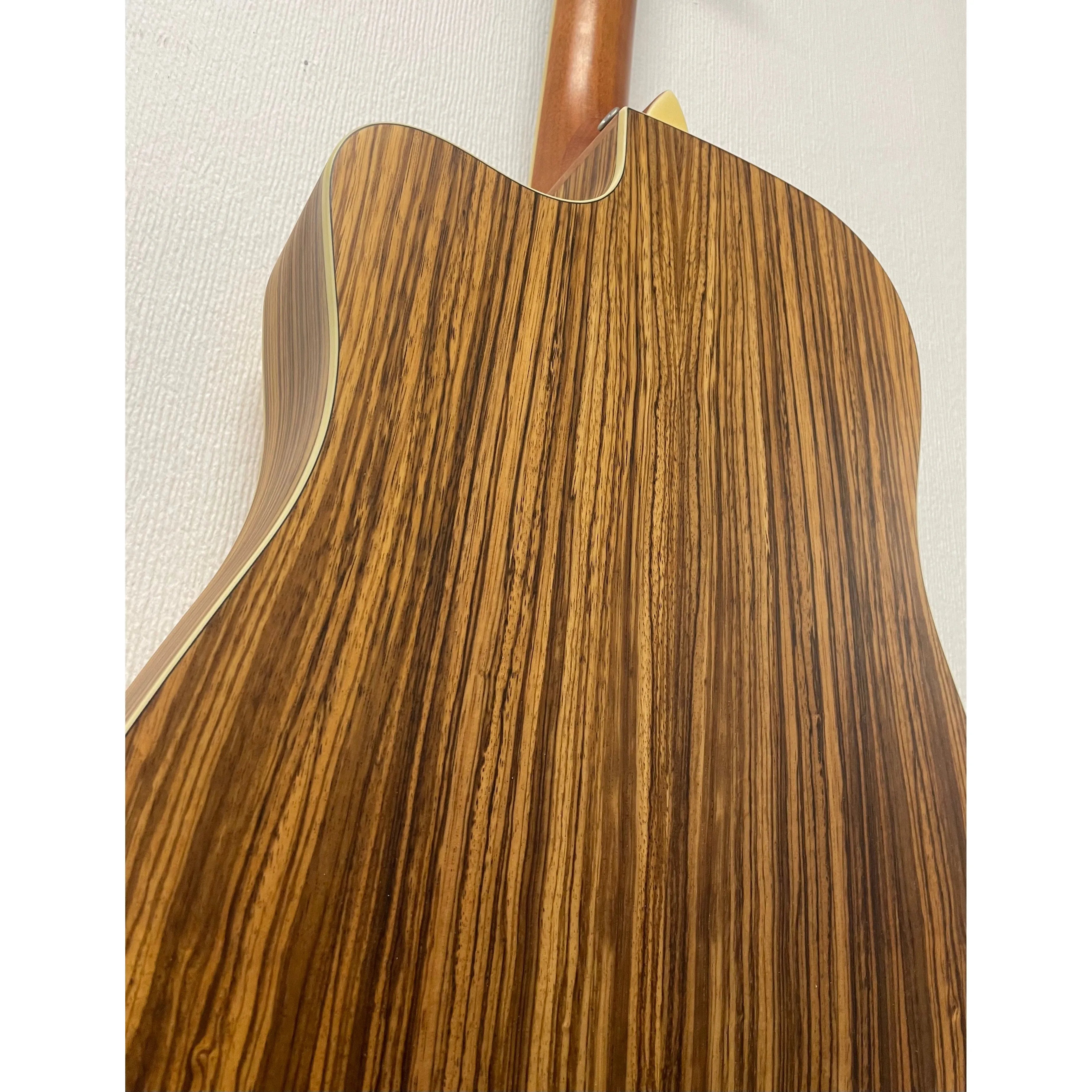 Turner Dreadnought 40CE Electro Acoustic Guitar