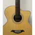 Turner Jumbo 45CE Electro Acoustic Guitar