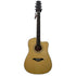 Turner Dreadnought 60CE Electro Acoustic Guitar