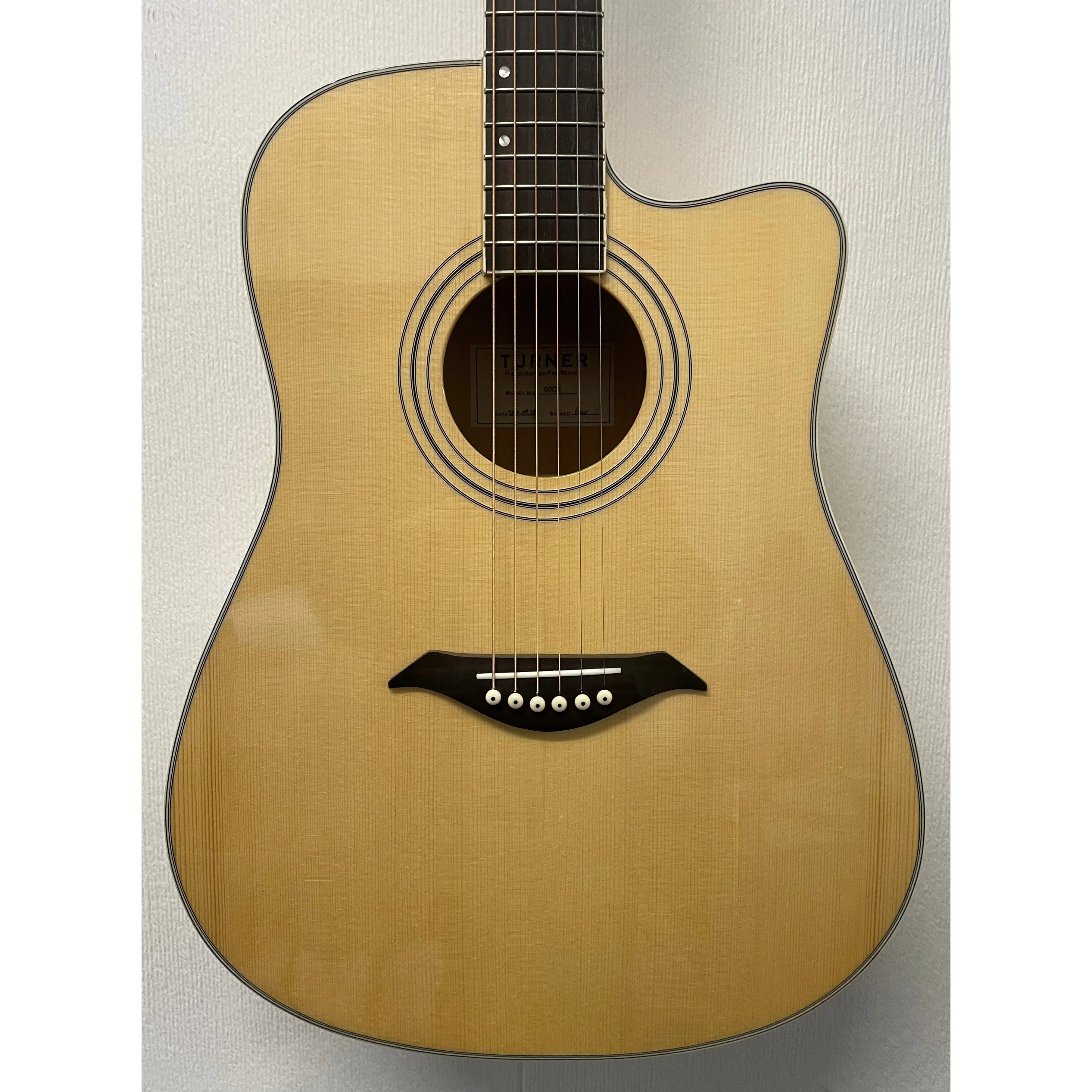 Turner Dreadnought 60CE Electro Acoustic Guitar