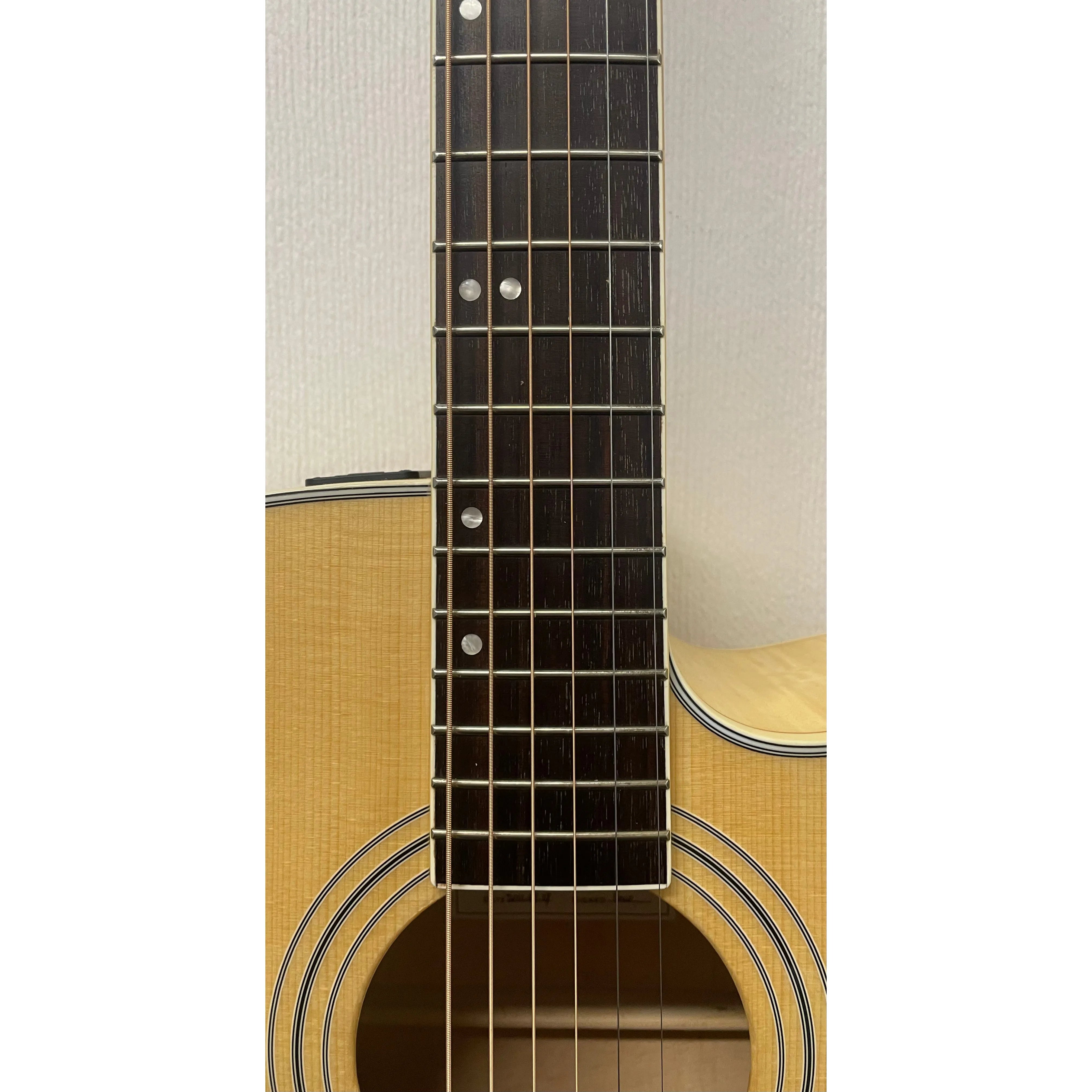 Turner Dreadnought 60CE Electro Acoustic Guitar