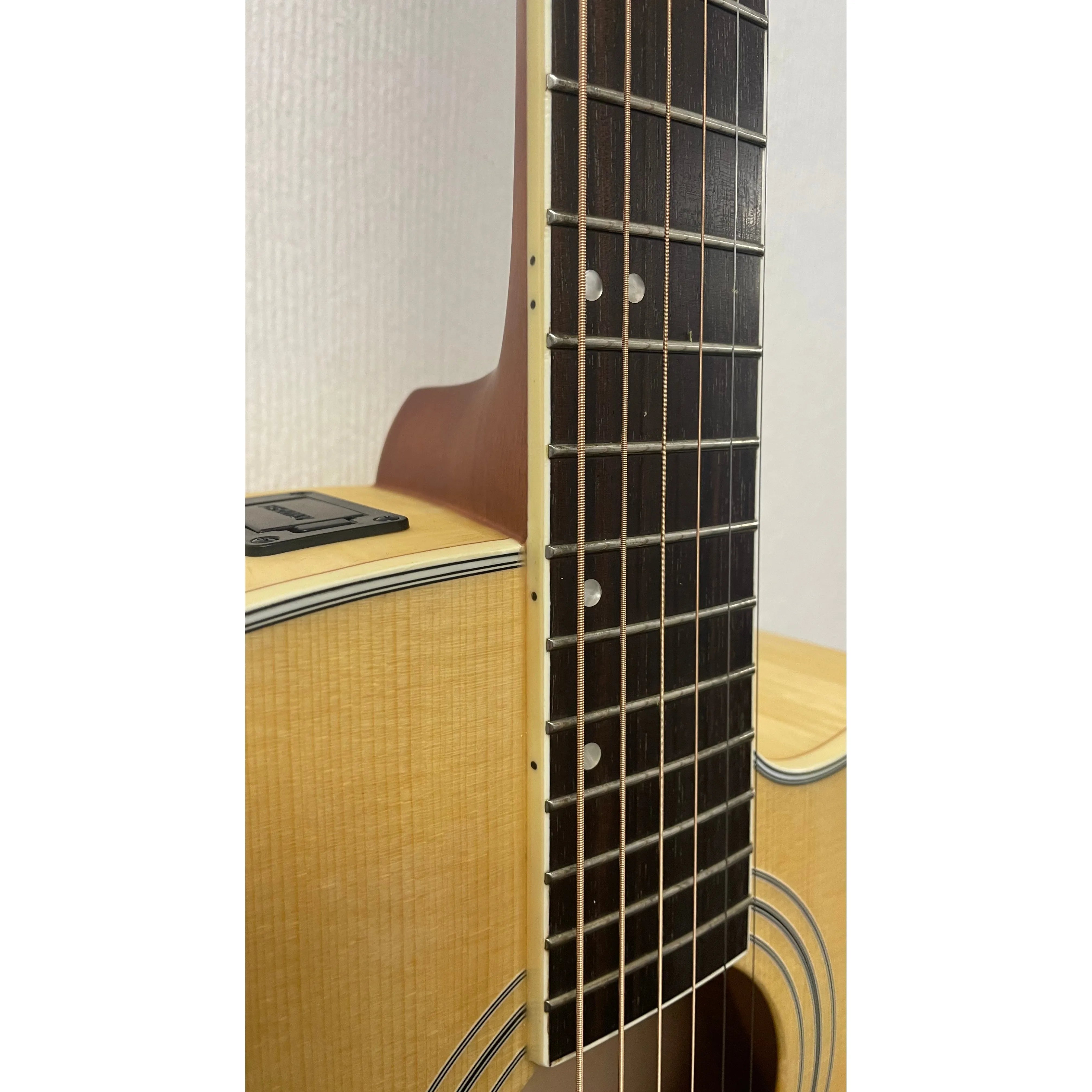 Turner Dreadnought 60CE Electro Acoustic Guitar