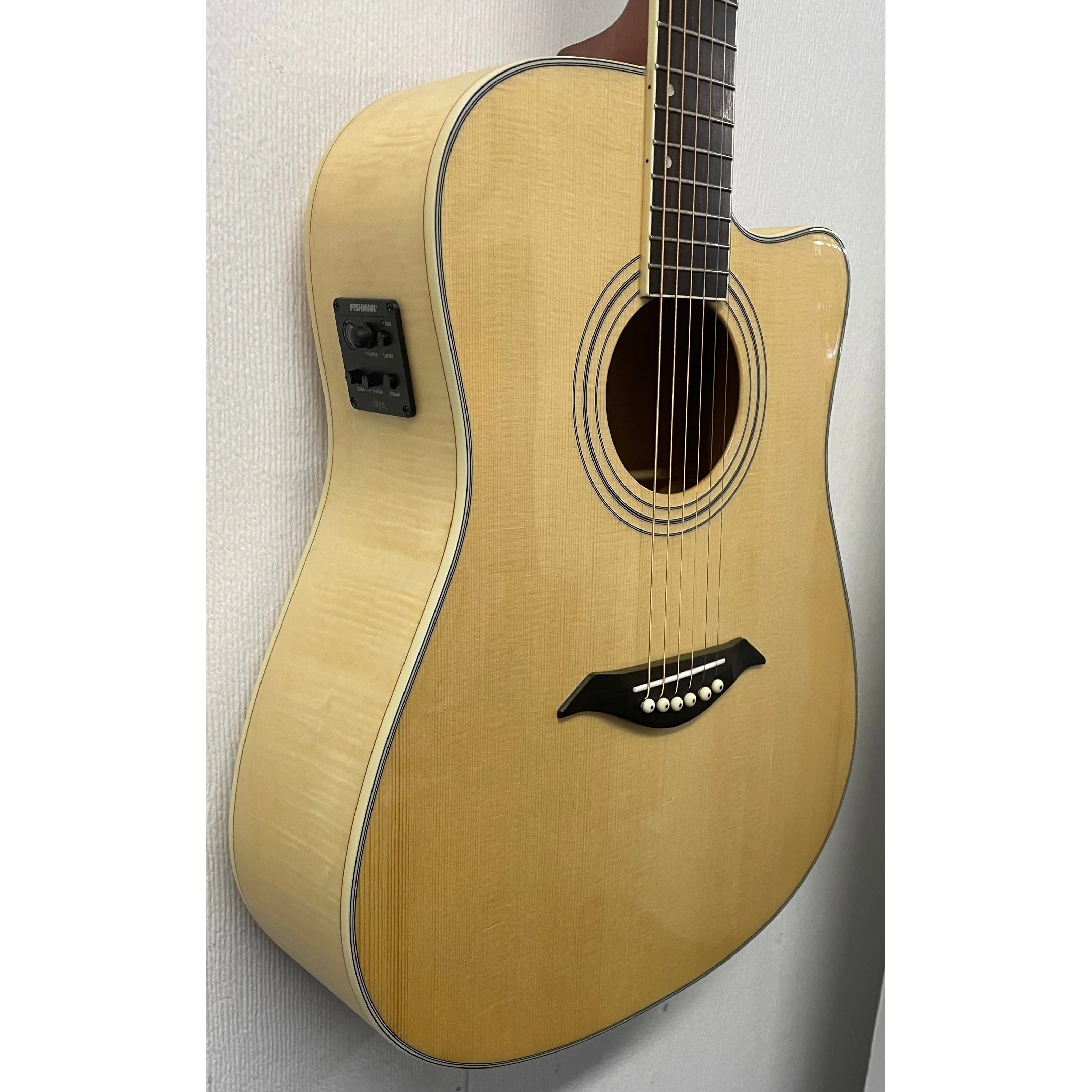 Turner Dreadnought 60CE Electro Acoustic Guitar