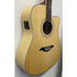 Turner Dreadnought 60CE Electro Acoustic Guitar