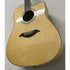 Turner Dreadnought 60CE Electro Acoustic Guitar