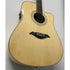 Turner Dreadnought 60CE Electro Acoustic Guitar