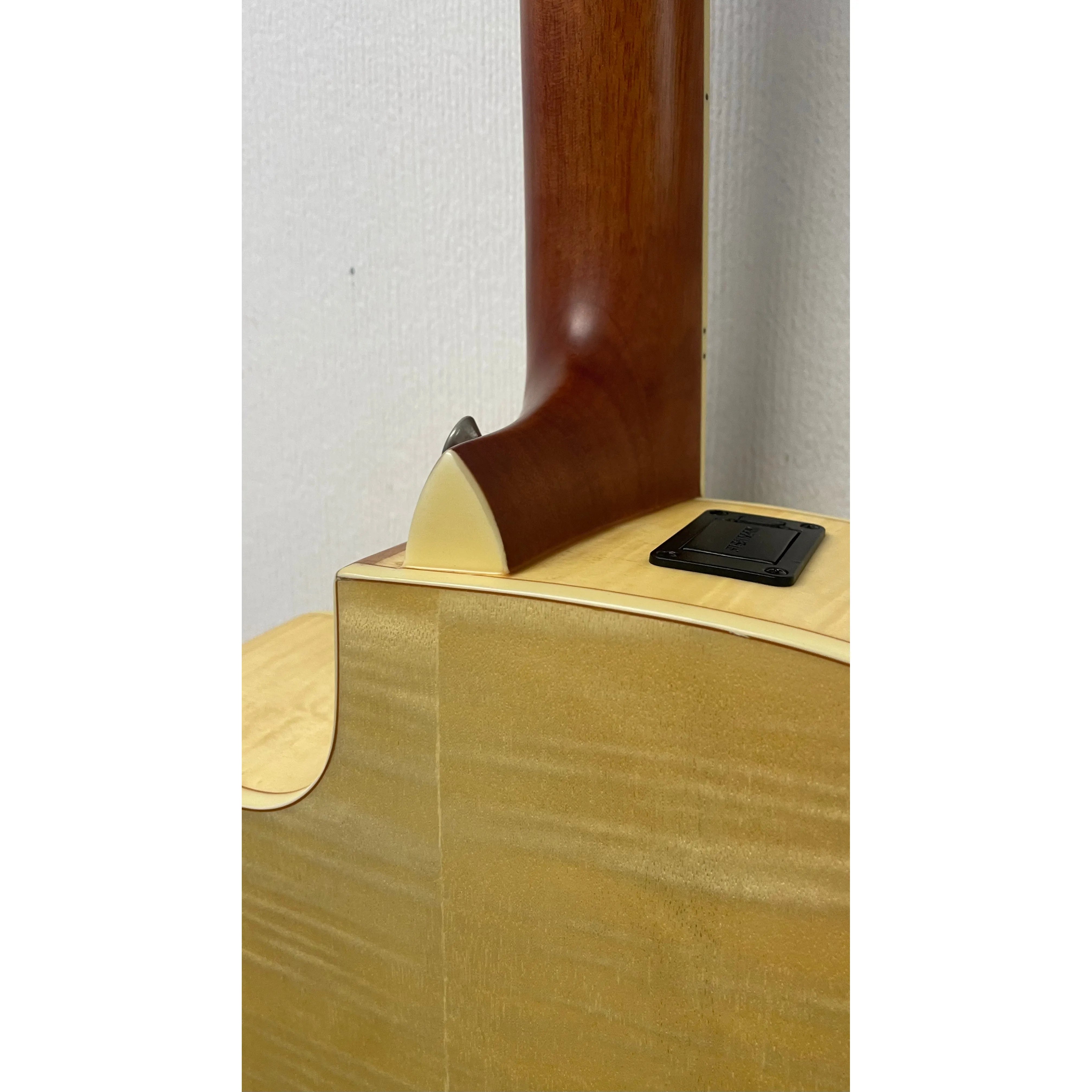 Turner Dreadnought 60CE Electro Acoustic Guitar