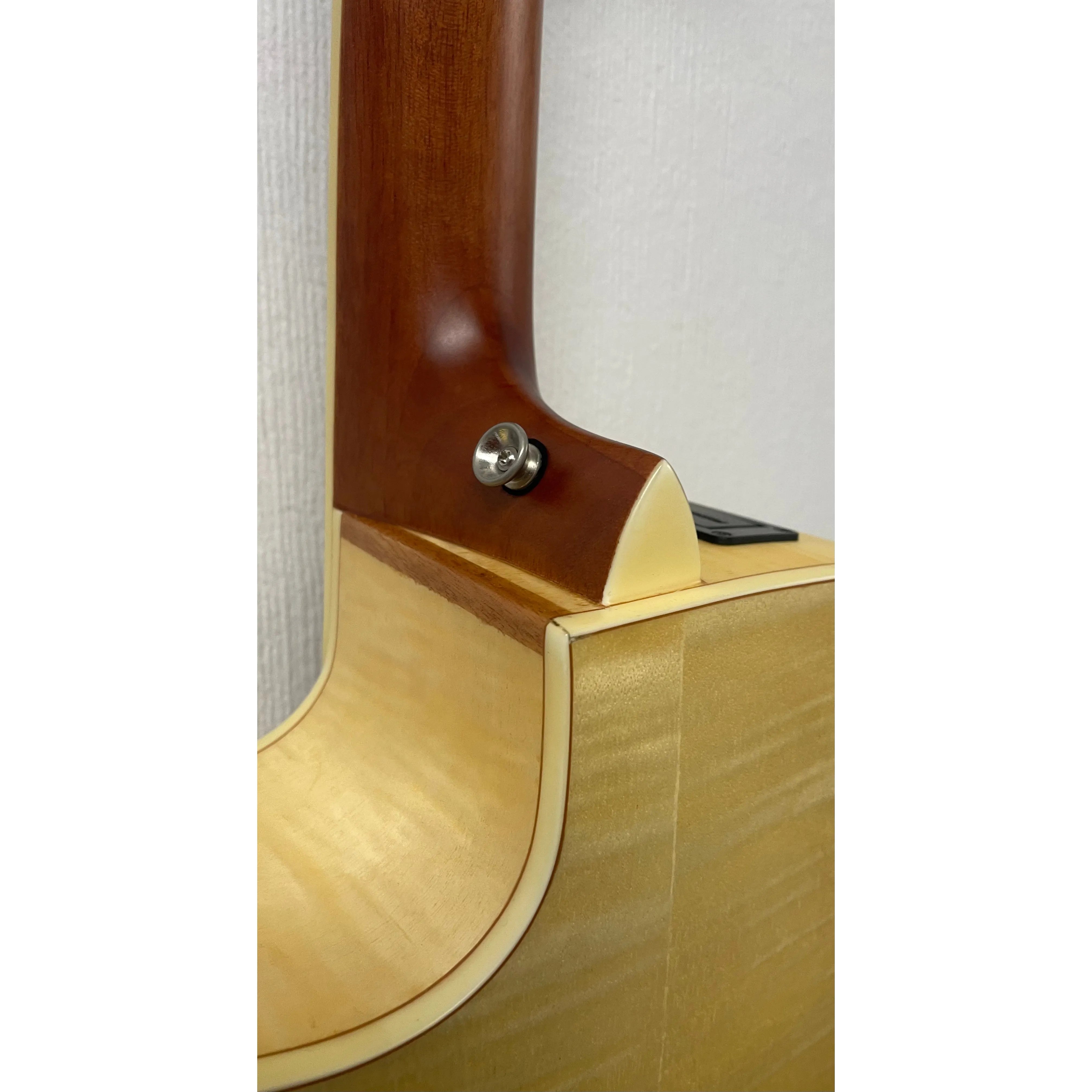 Turner Dreadnought 60CE Electro Acoustic Guitar