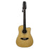 Turner Dreadnought 40CE 12 String Electro Acoustic Guitar
