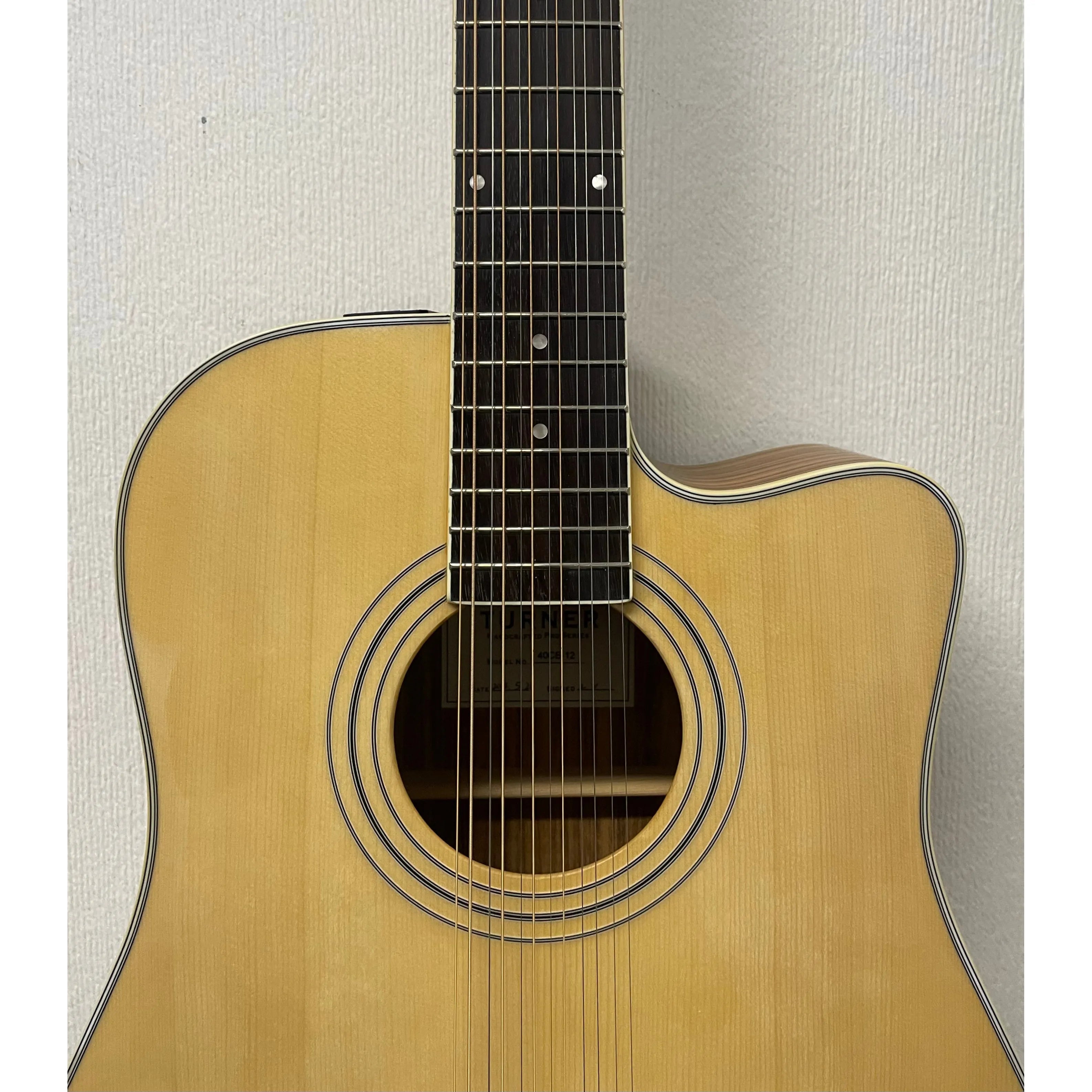 Turner Dreadnought 40CE 12 String Electro Acoustic Guitar