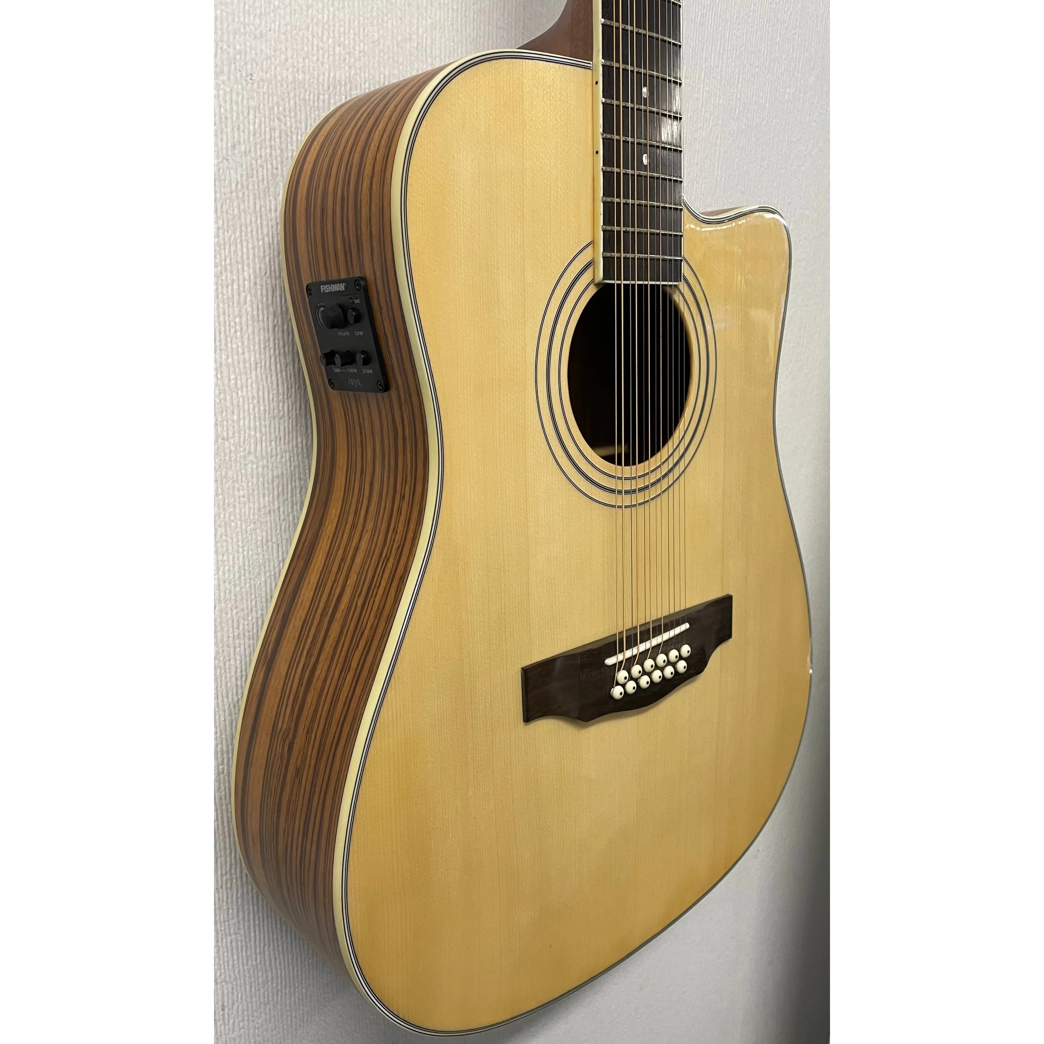 Turner Dreadnought 40CE 12 String Electro Acoustic Guitar