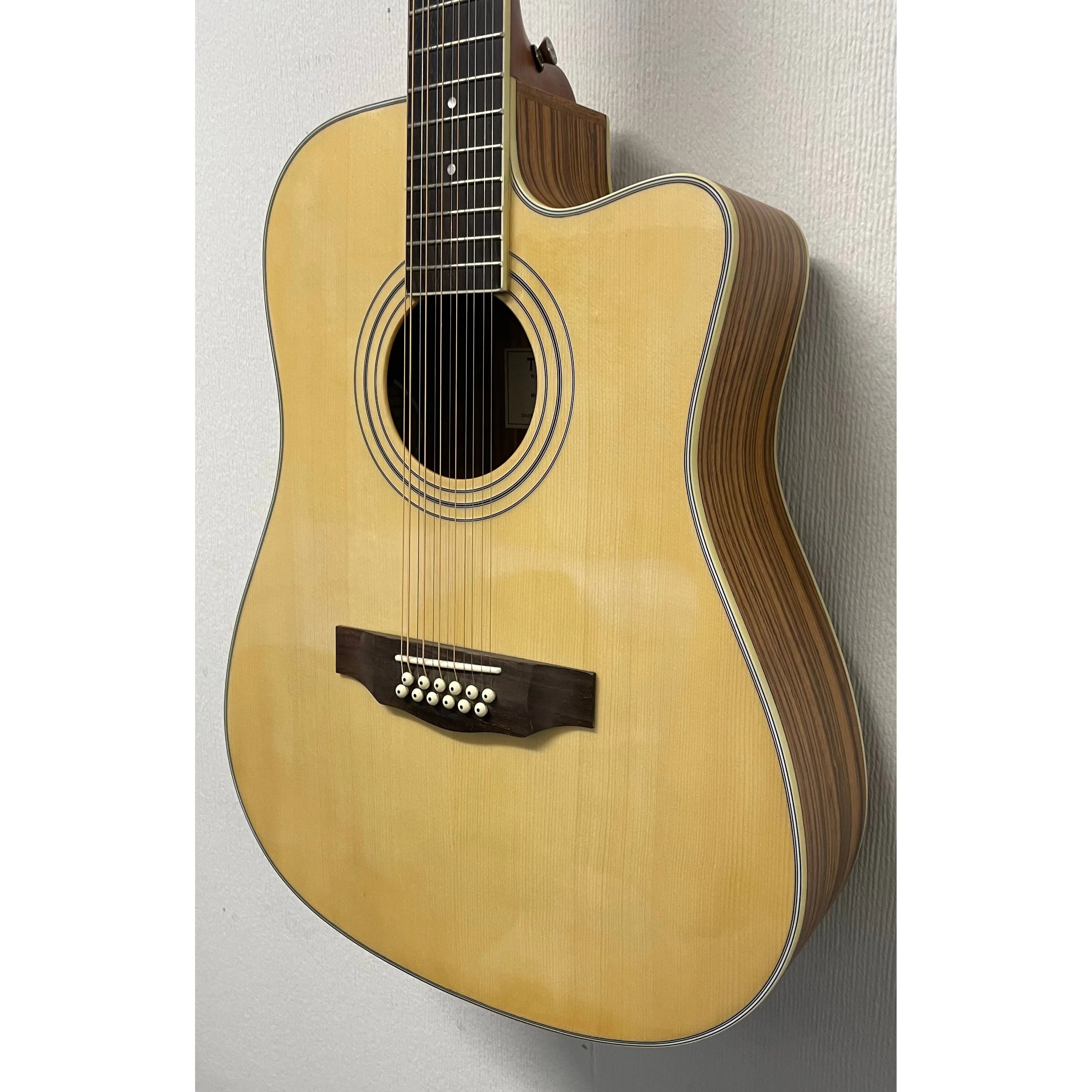 Turner Dreadnought 40CE 12 String Electro Acoustic Guitar