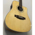Turner Dreadnought 40CE 12 String Electro Acoustic Guitar