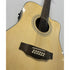 Turner Dreadnought 40CE 12 String Electro Acoustic Guitar