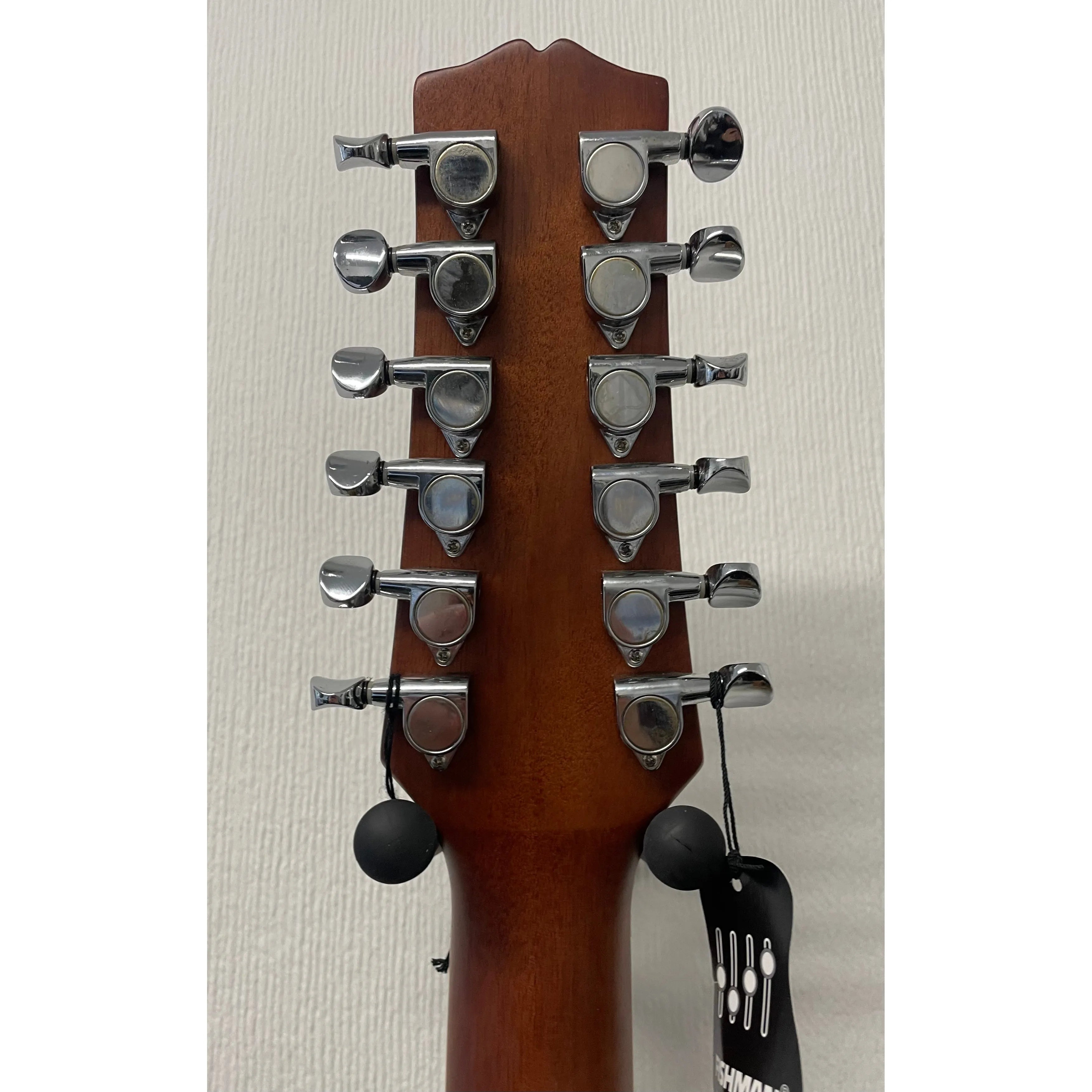 Turner Dreadnought 40CE 12 String Electro Acoustic Guitar