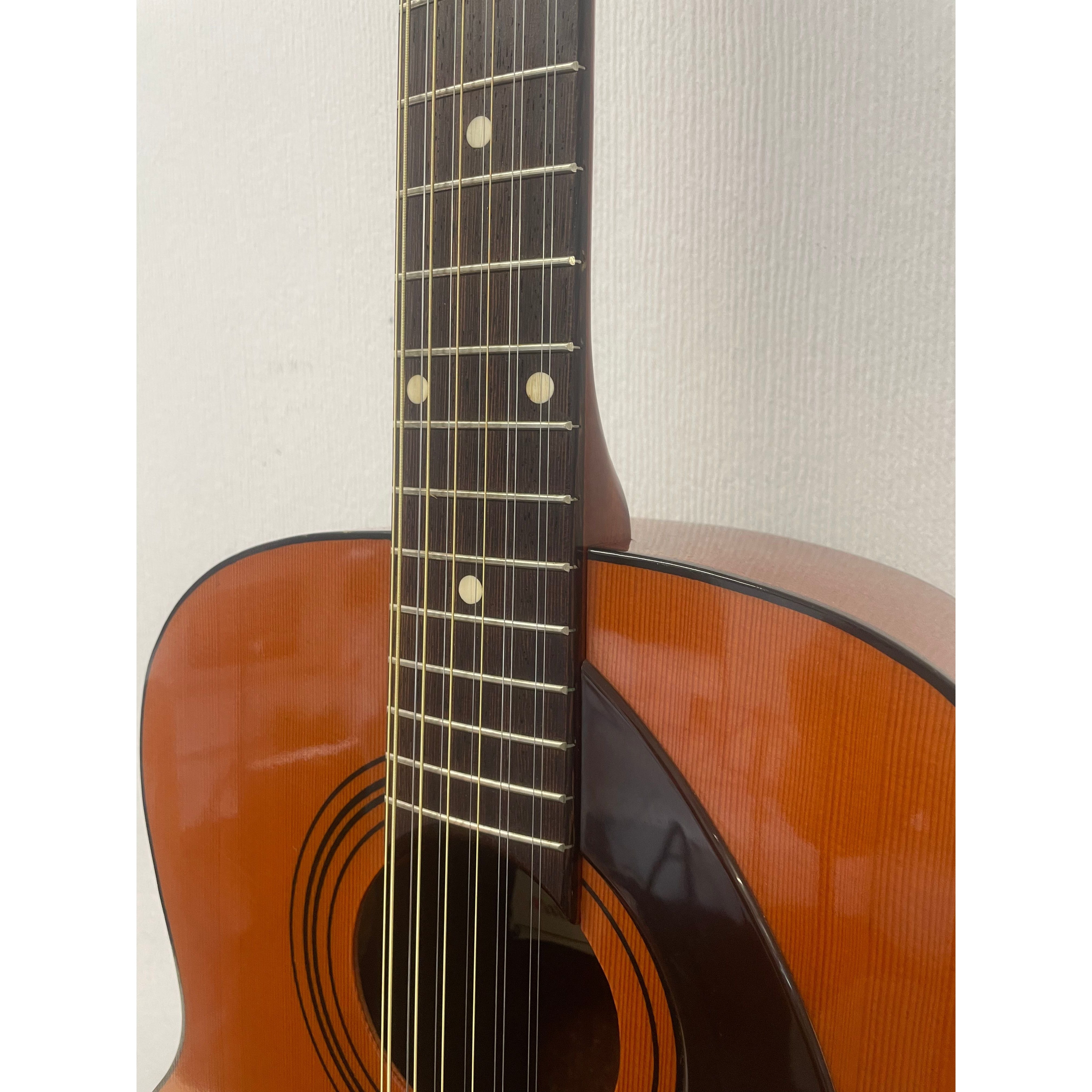 Eko Navajo 12 String Acoustic Guitar, Made in Italy, 1970's, with Hardcase Pre-Owned