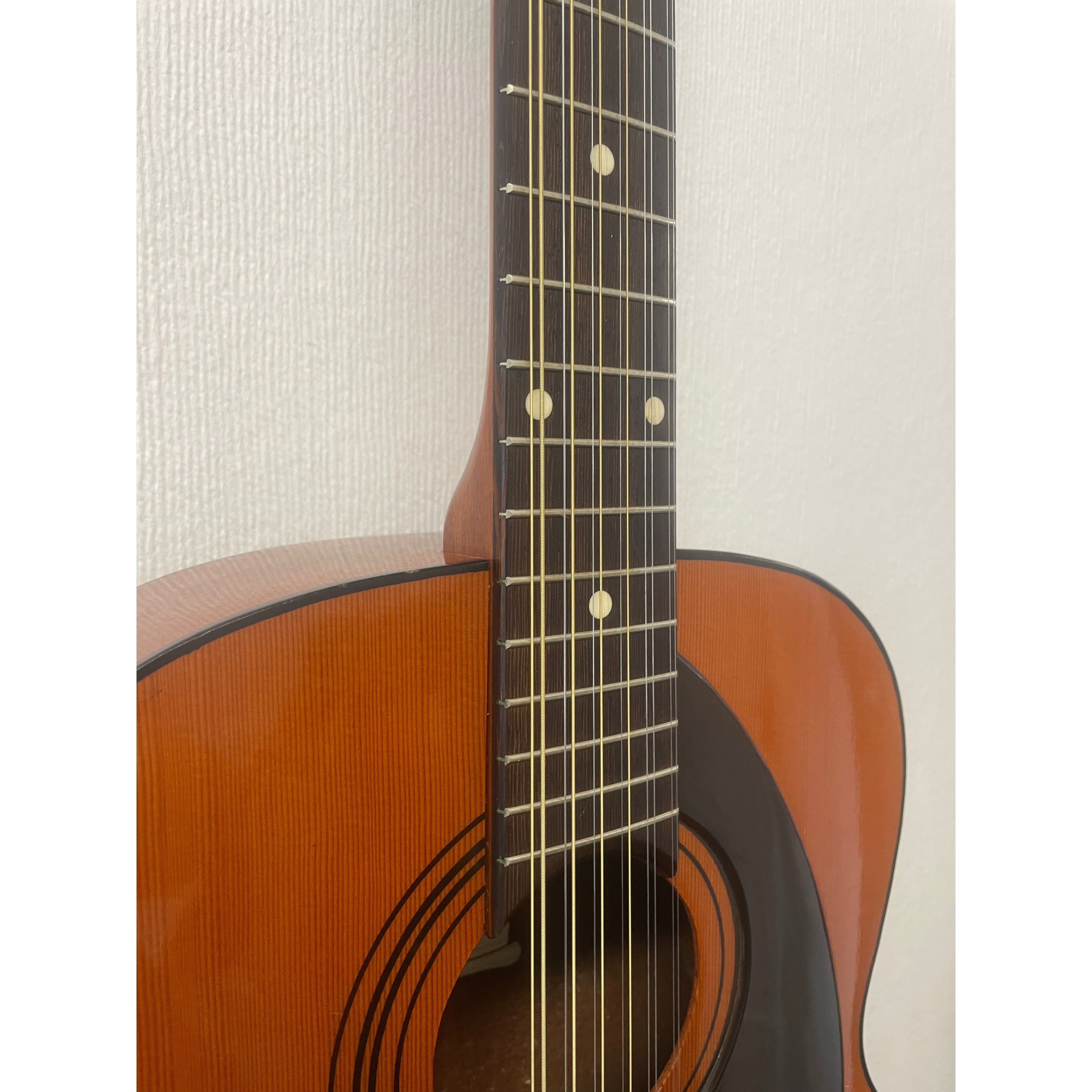 Eko Navajo 12 String Acoustic Guitar, Made in Italy, 1970's, with Hardcase Pre-Owned