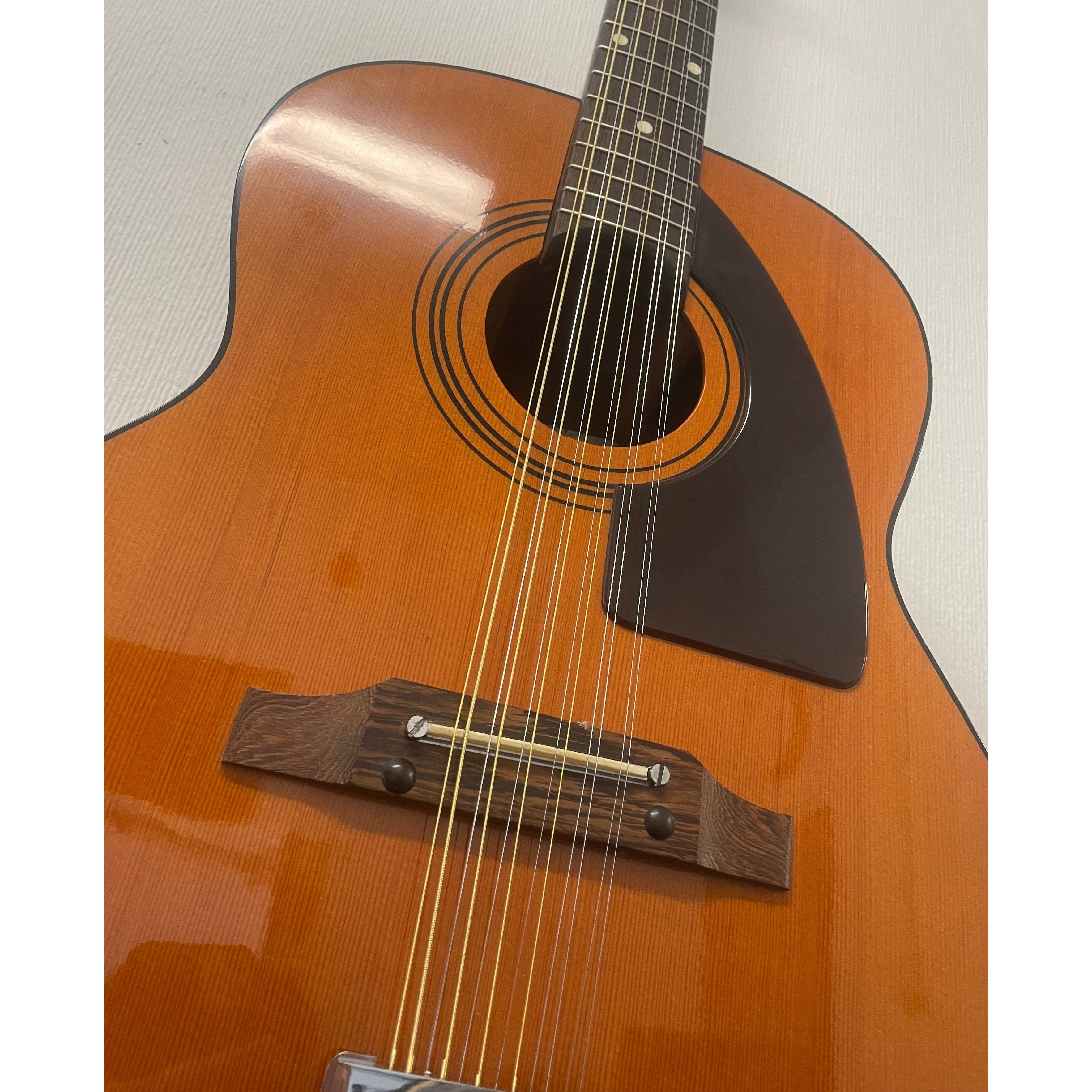 Eko Navajo 12 String Acoustic Guitar, Made in Italy, 1970's, with Hardcase Pre-Owned
