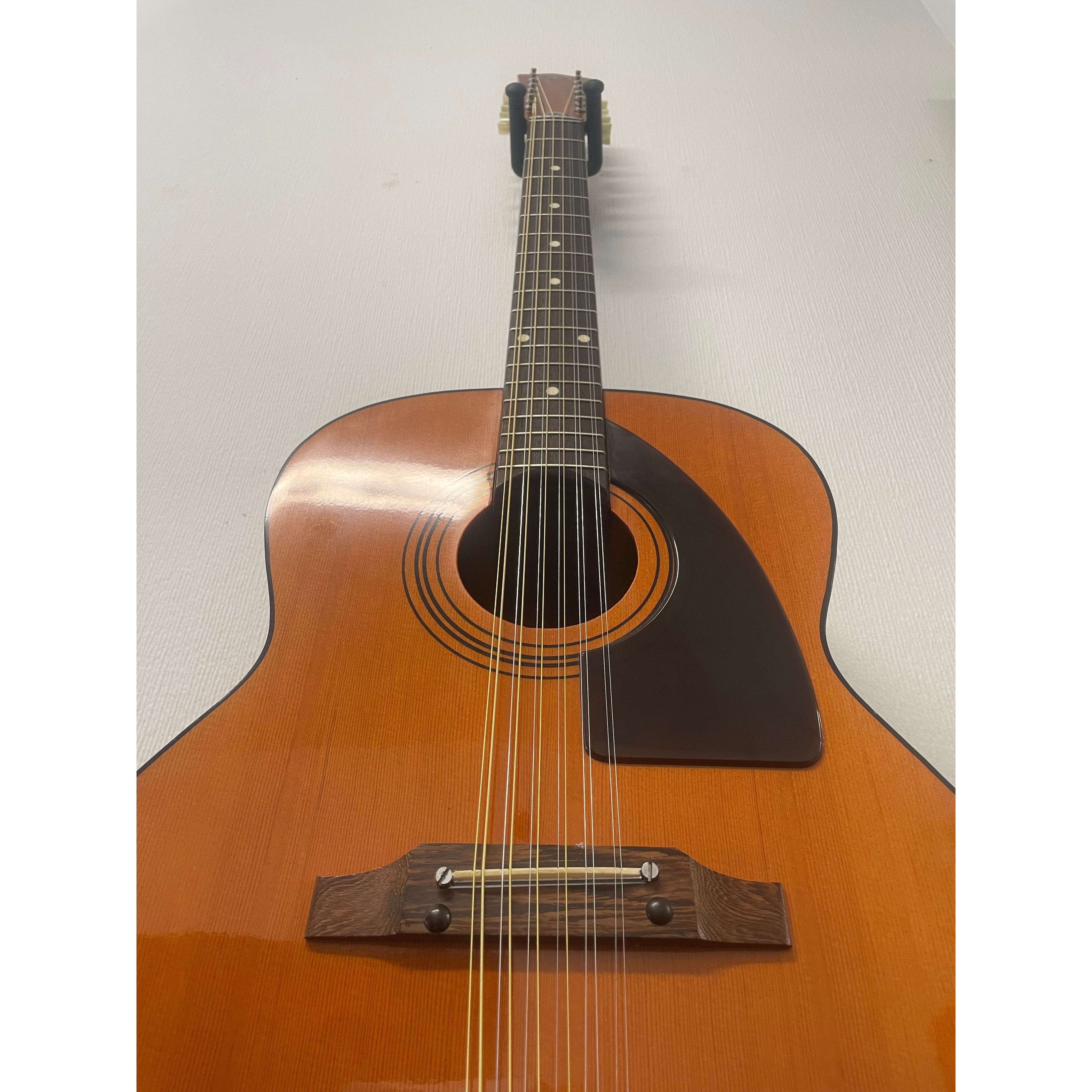 Eko Navajo 12 String Acoustic Guitar, Made in Italy, 1970's, with Hardcase Pre-Owned