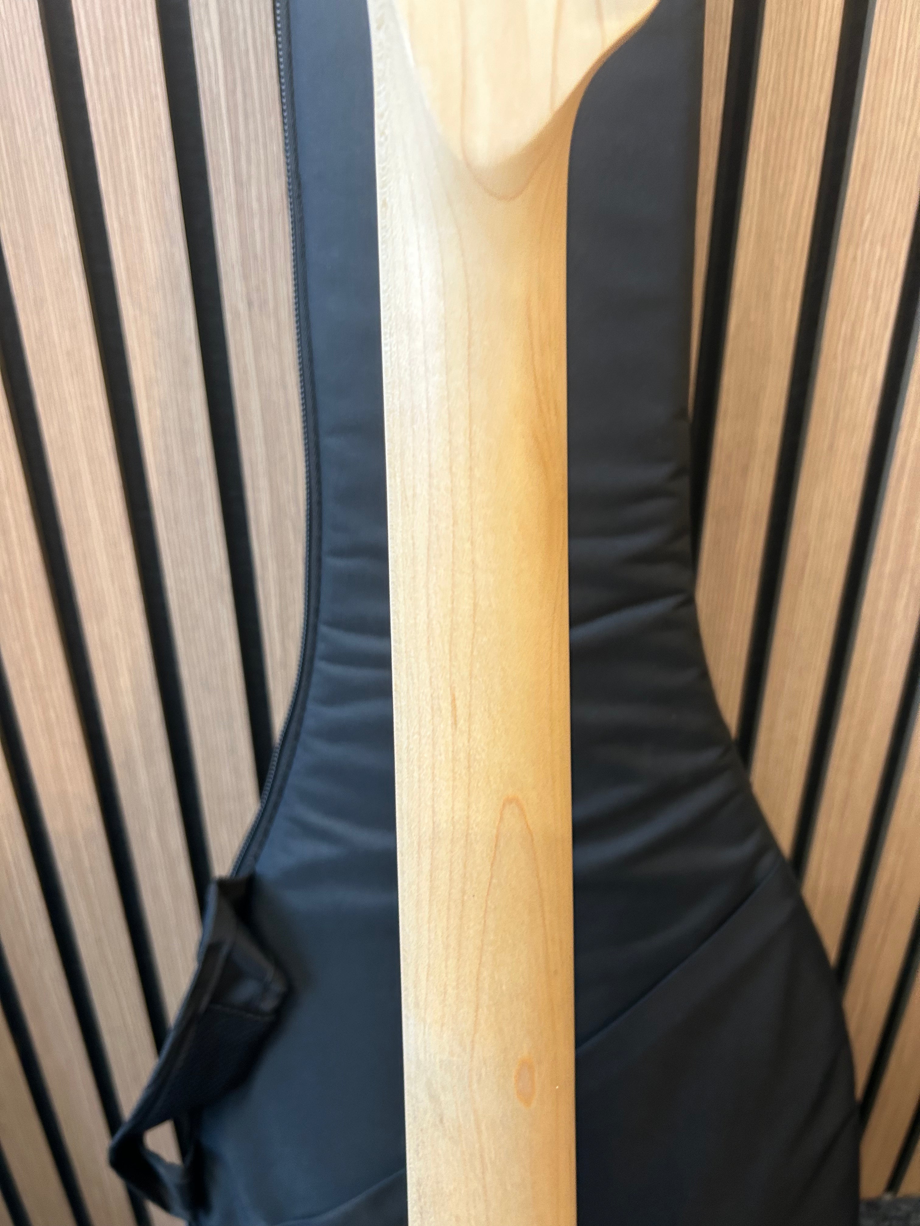 PJD Guitars Carey Orgin Series Standard in Pelham Blue