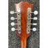 Epiphone EM50 Venetian Mandolin Made in Japan in Natural Pre-Owned